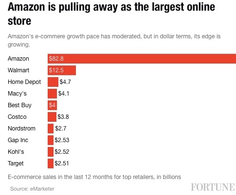Amazon_Is_Pulling_Way_Ahead_of_Other_Retailers_in_E-Commerce___Fortune_com.jpg